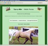 web site -  Horse Breeding